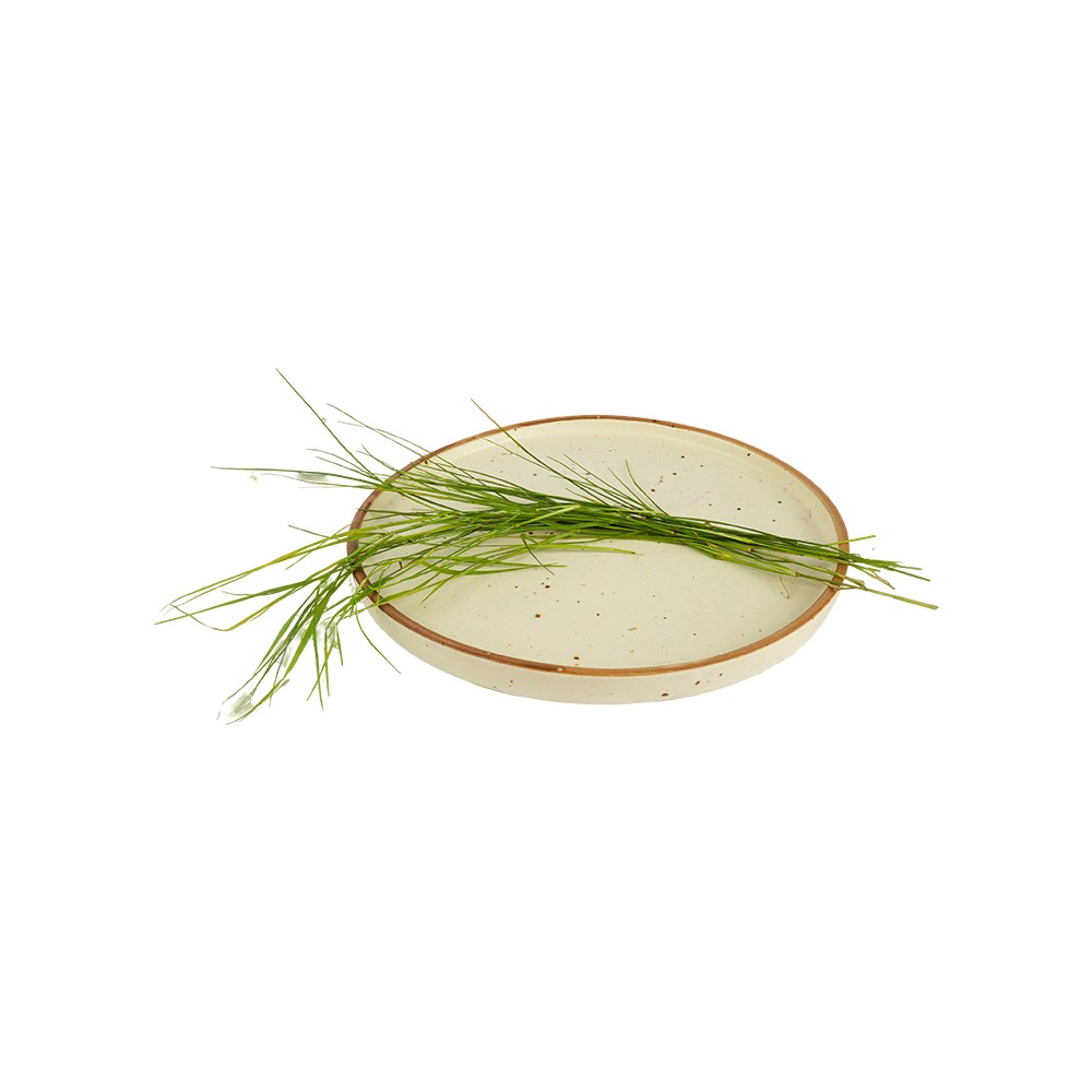 Doob Grass / Durva Grass (Garike) Price - Buy Online at Best Price in India