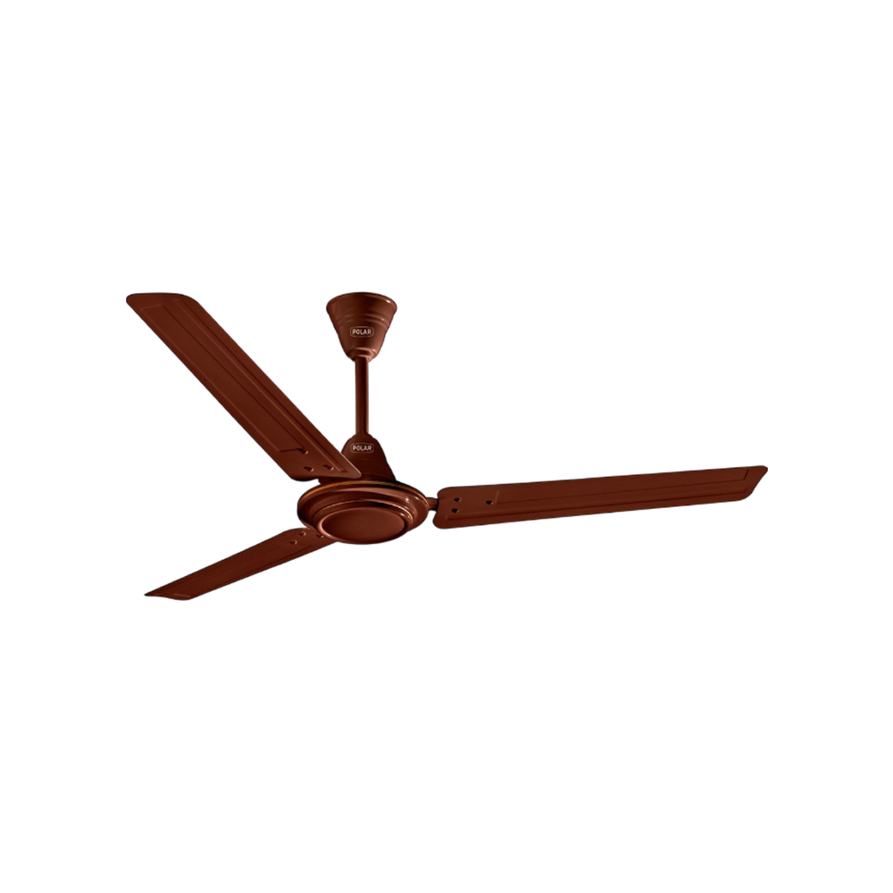 PRESENT ステファン・ヴァンフレテレン POLAR Winchester Ceiling Fan Price - Buy Online at Best Price in India