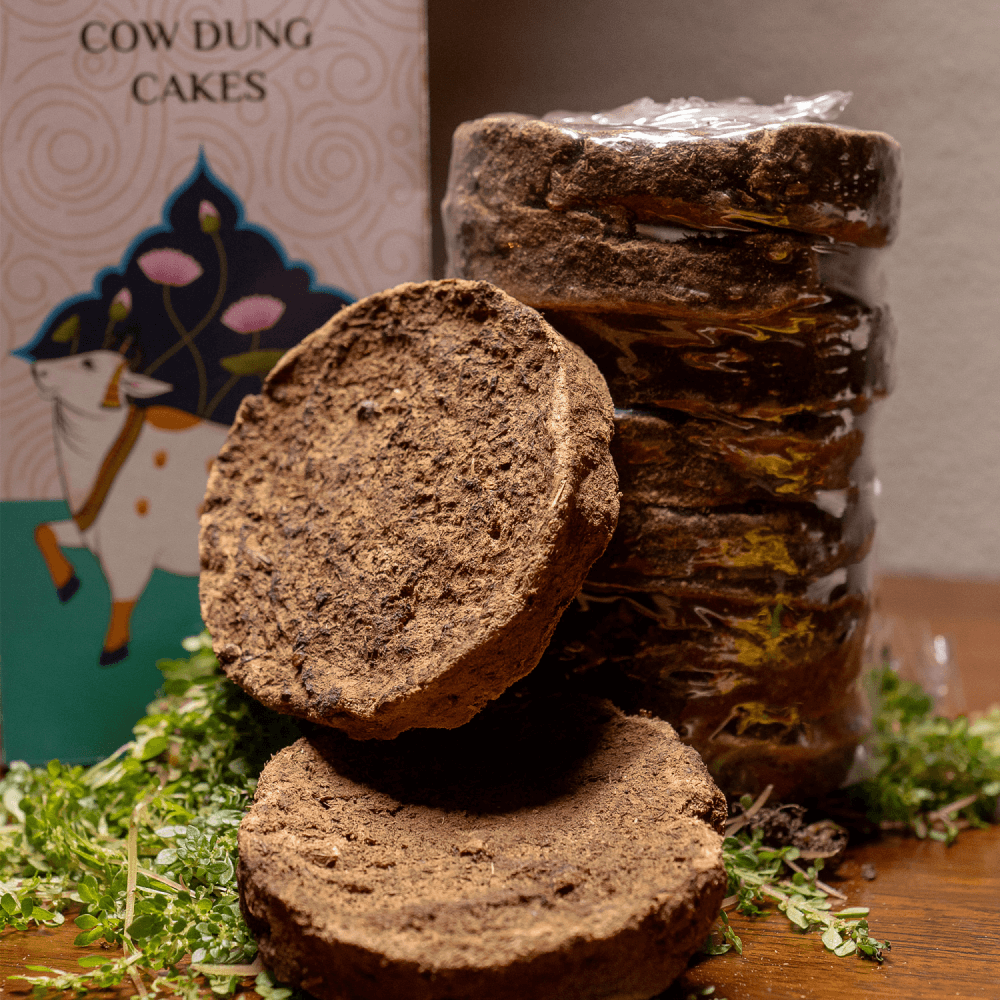 lupinen mit kaffeesatz düngen Bio-Lupinenkaffee I Blauer Lupini TONKA I gemahlen – Bio-Rösterei  LandDelikat main image 0