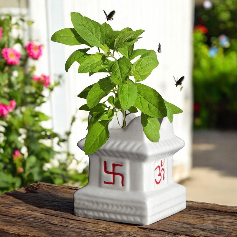 Ecofynd Tulsi Ceramic Plant Pot (4.7" x 5", White) Price - Buy Online at  Best Price in India