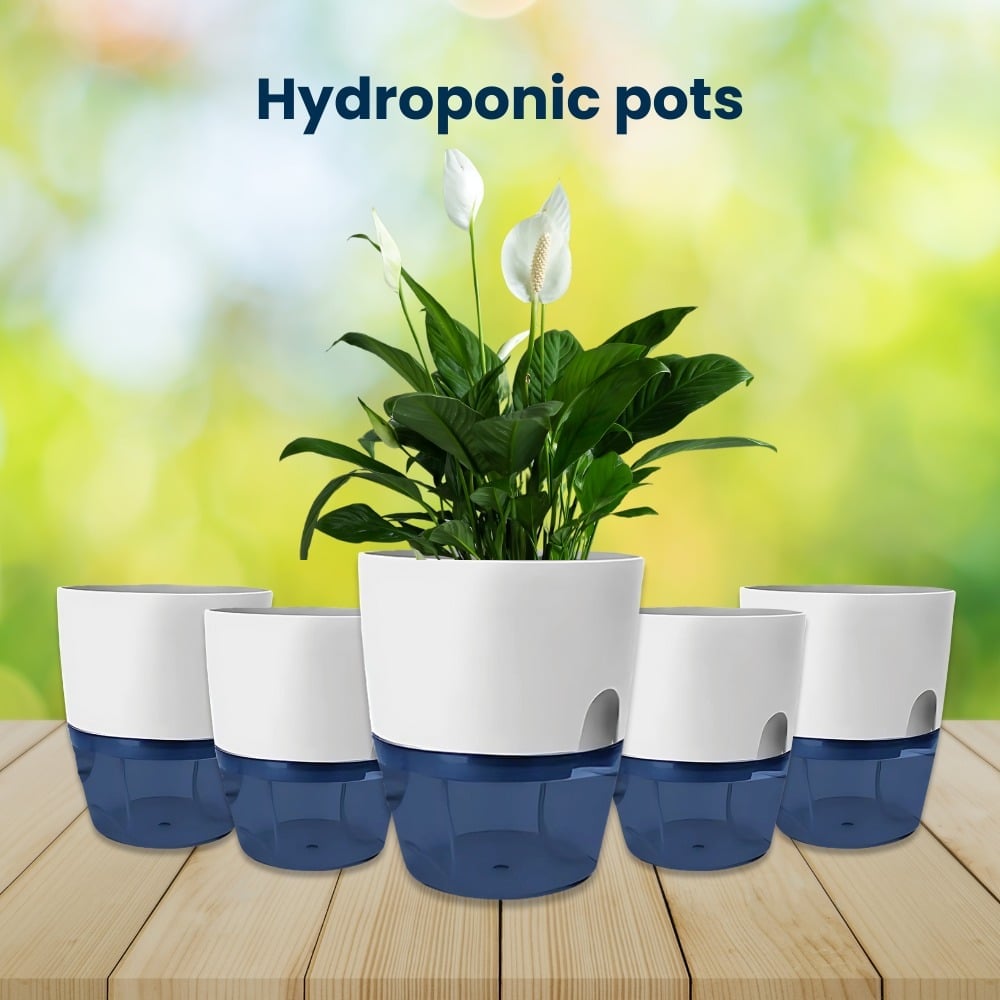 Inhydro Wick Hydroponics Plant Pot Price - Buy Online at Best