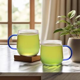 Cutting Edge Terra Glass Coffee-Tea Cup Set (250 ml, Transparent