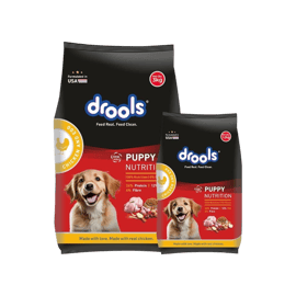 natural balance dog food near me Natural Balance Limited Ingredient Reserve Grain Free Dry Dog Food, Sweet  Potato & Venison Recipe