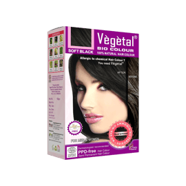 Vegetal Hair Colour Kit (Soft Black) Price - Buy Online at ₹337