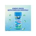 Centa Fresh Center Fresh Chewy Mints Spearmint Flavour Chewing Gum Price - Buy ...