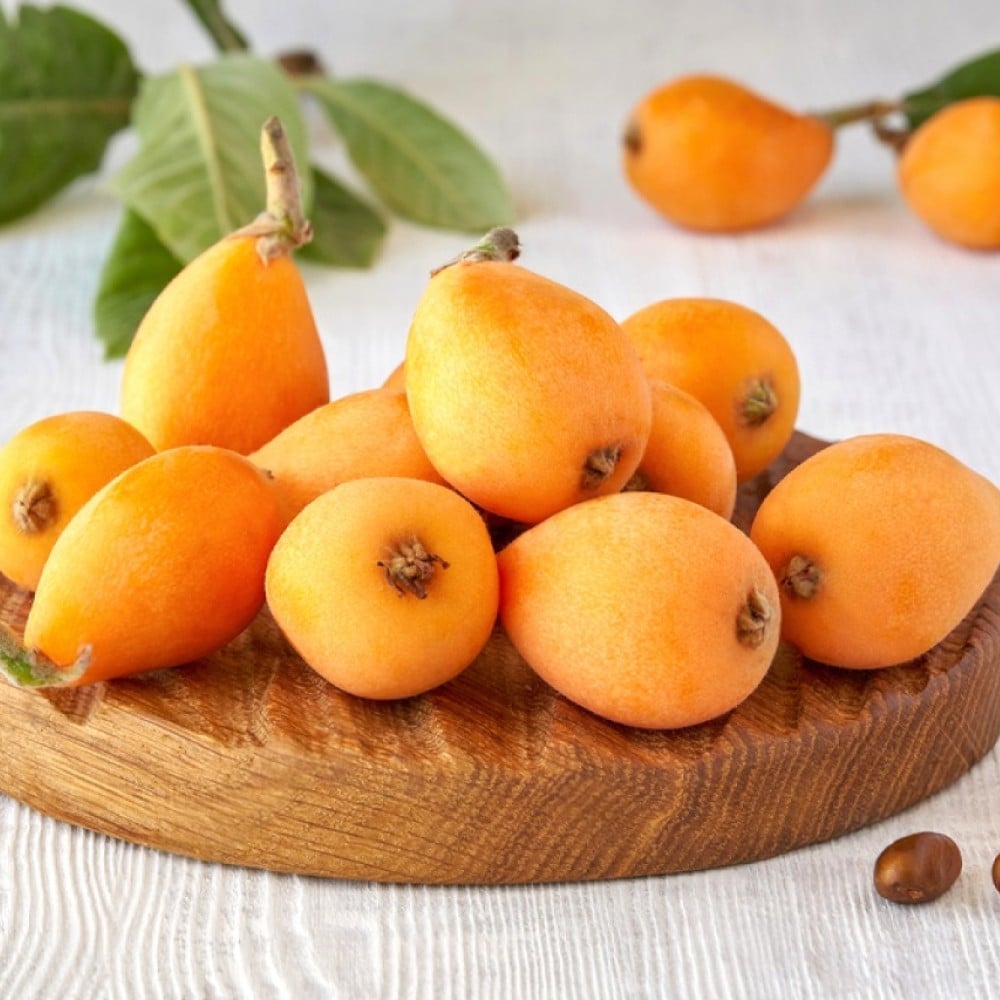 Loquat Price - Buy Online at Best Price in India