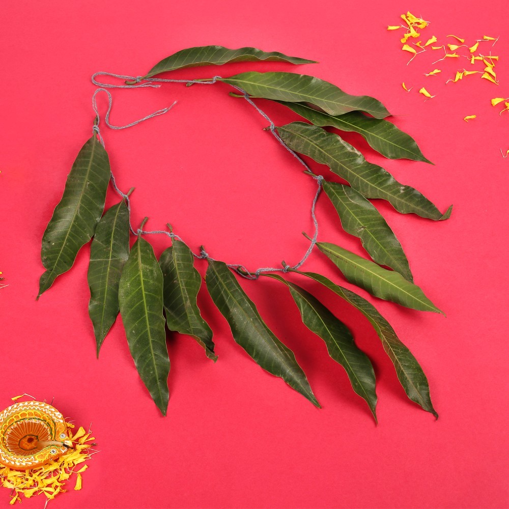 Mango Leaves String (Toran) Price - Buy Online at Best Price in India
