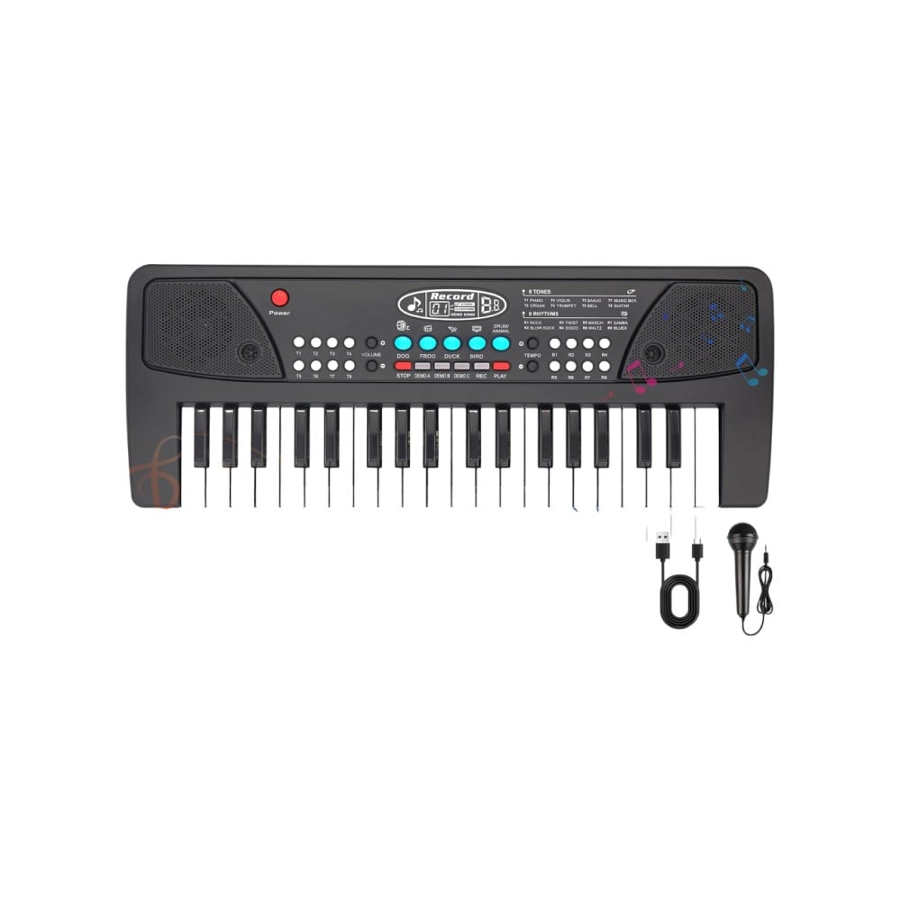 Kiddybuddy Portable Keyboard Piano with Mic Recorder for Kids Price ...