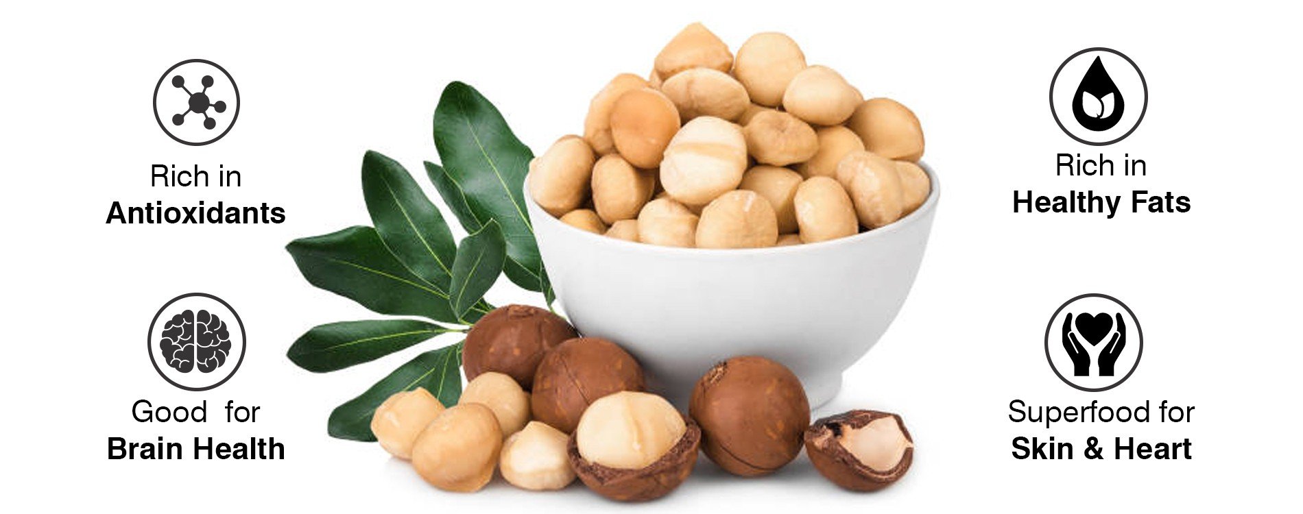 Wonderland Foods Macadamia Nuts Price - Buy Online at ₹829 in India