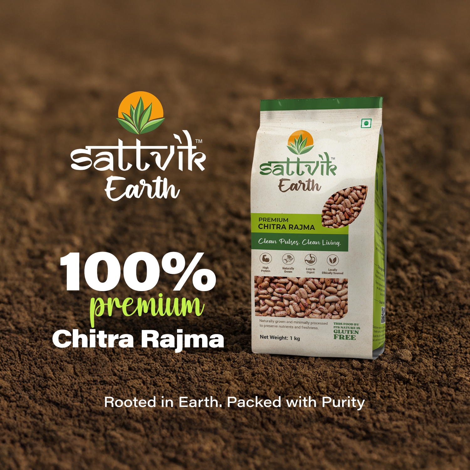 Sattvik Element Sattvik Earth Premium Rajma Chitra Price - Buy Online at ₹185 in India