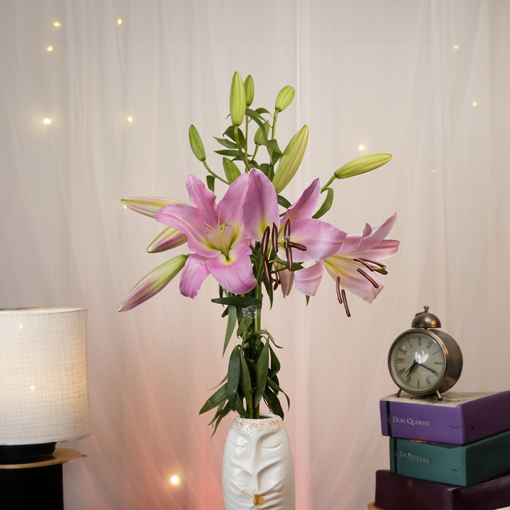 Oriental Lilies Flower Stem Cut Price - Buy Online at Best Price in India