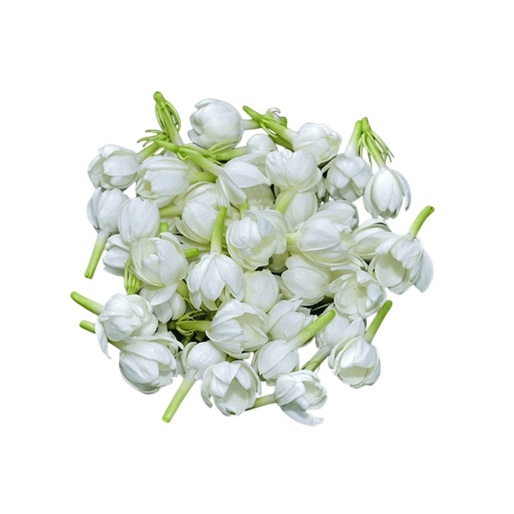 CC Jasmine Flowers by Price - Buy Online at Best Price in India
