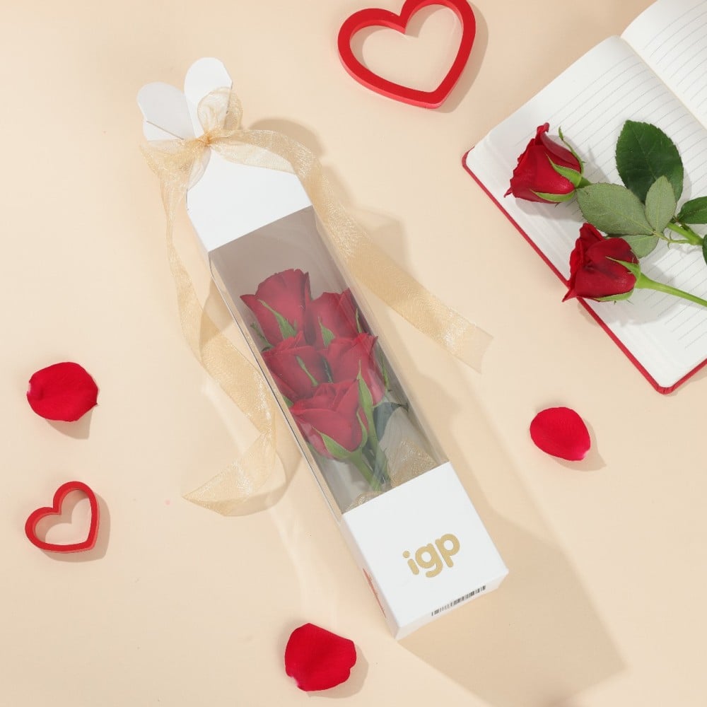 IGP - Red Roses 5 Flower Bouquet for Valentine’s Price - Buy Online at ...