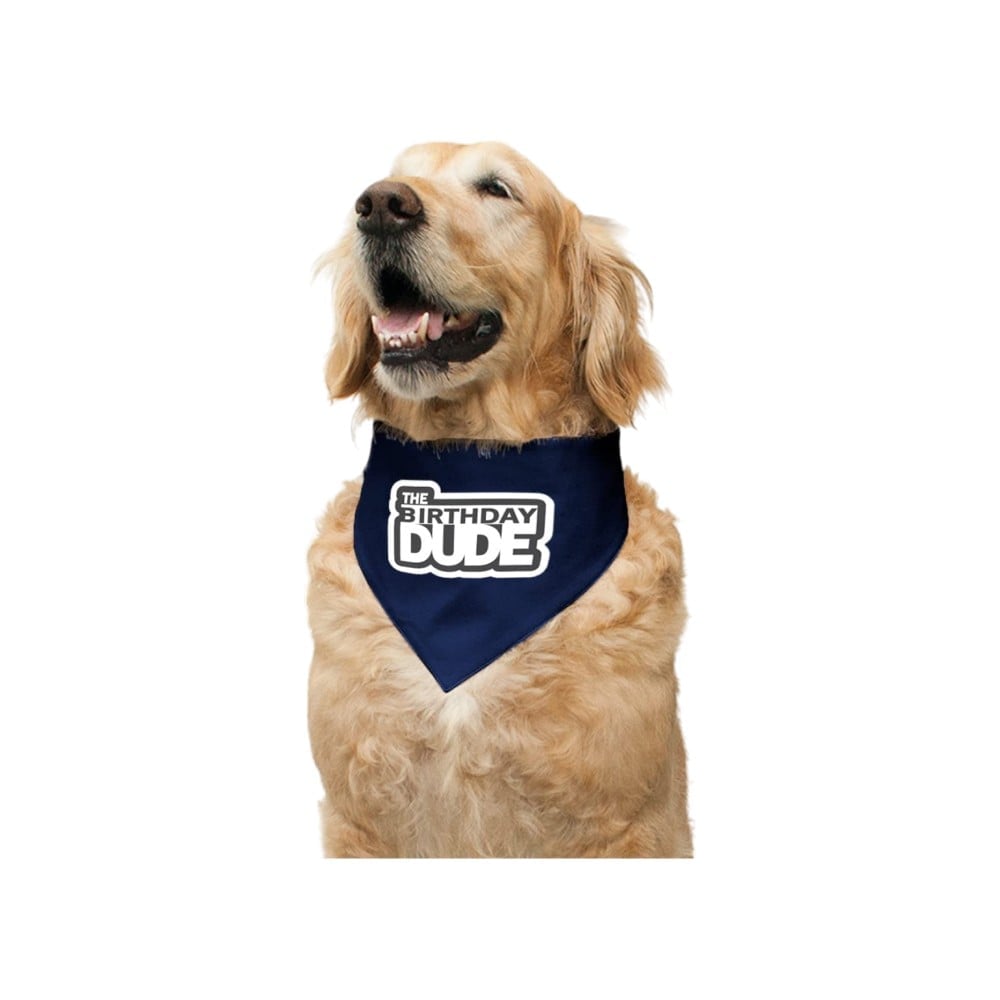 Buy Ruse Ruse The Birthday Dude Printed Reversible Dog Bandana (Navy Blue) Price ...