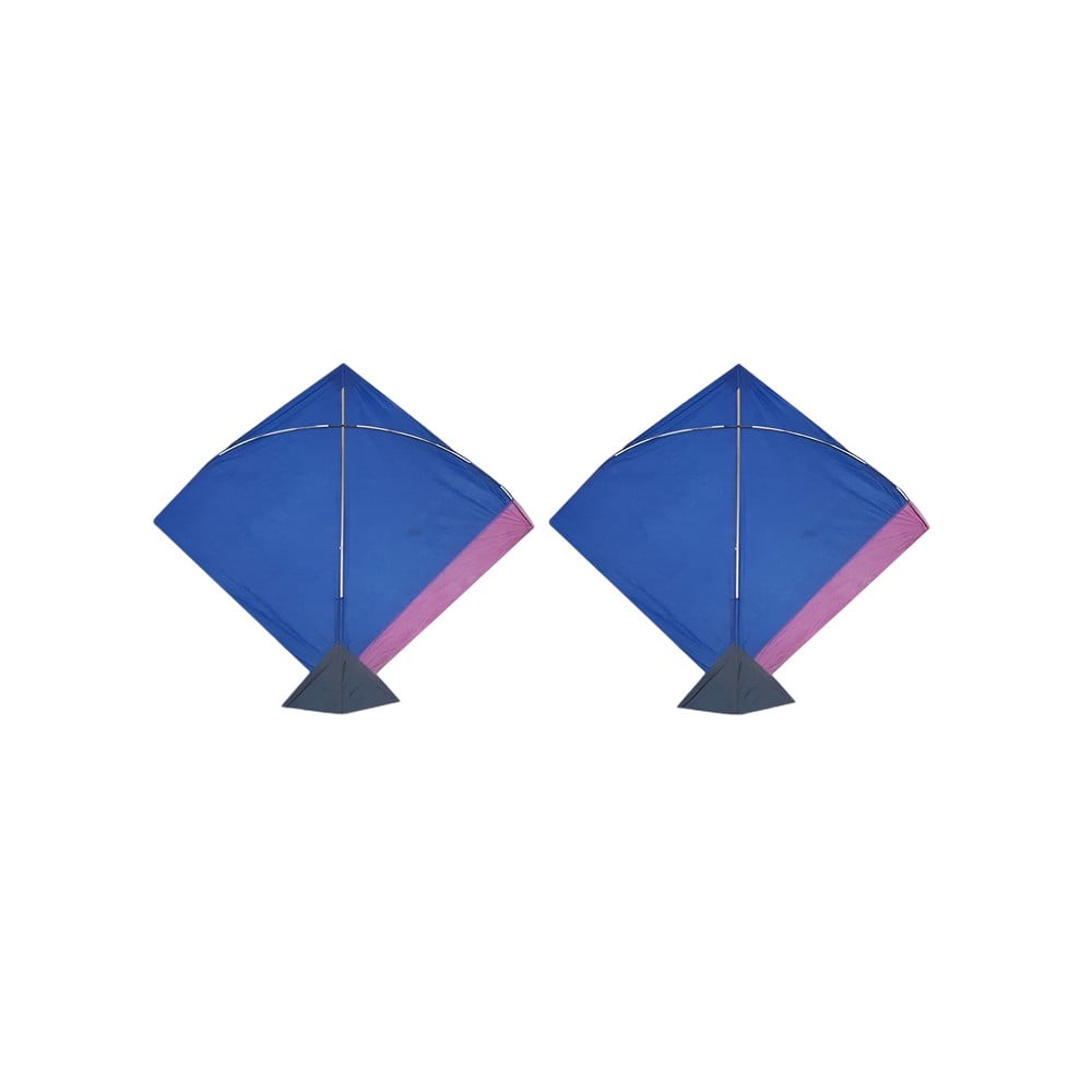 Assorted Kite (Set of 2 pcs) Price - Buy Online at Best Price in India