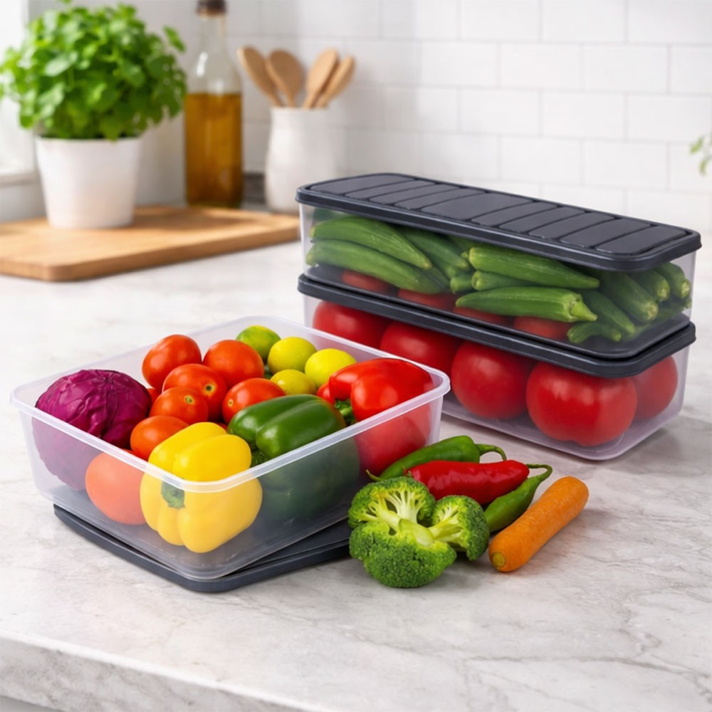 Zedak Plastic Fridge Storage Container Set Price - Buy Online at