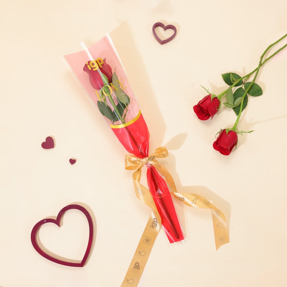 IGP - Single Red Rose Bouquet Price - Buy Online at Best Price in India