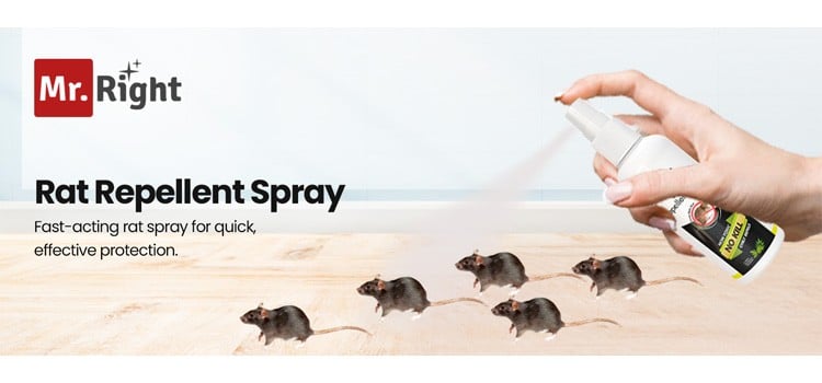 Mr. Right Rat Repellent Spray Price - Buy Online at Best Price in India