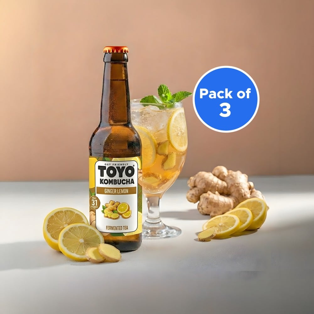 Toyo Kombucha Ginger Lemon Non-Alcoholic Kombucha Fermented Tea