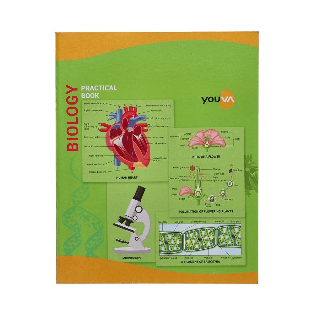 Youva Biology Single Line Practical Book (A4, Multicolour) Price - Buy ...