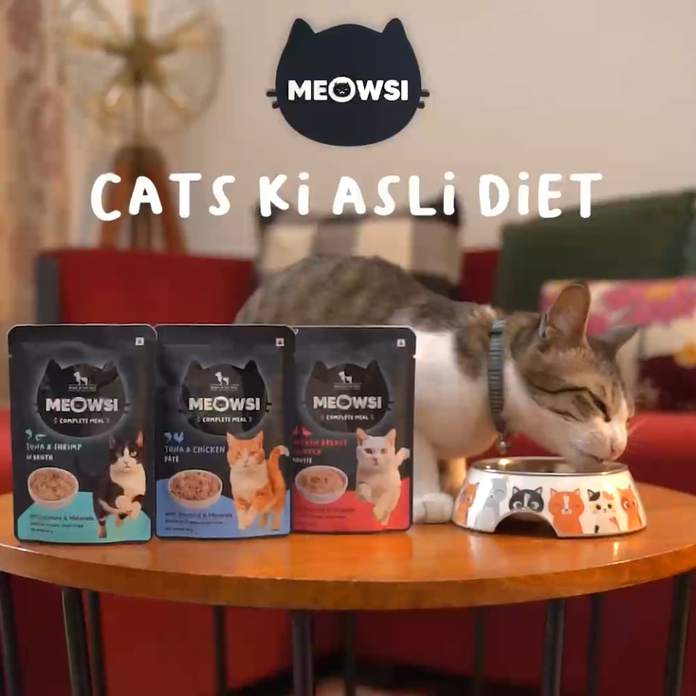 HUFT Meowsi Tuna & Shrimp Wet Complete Cat Food Price - Buy Online at ...