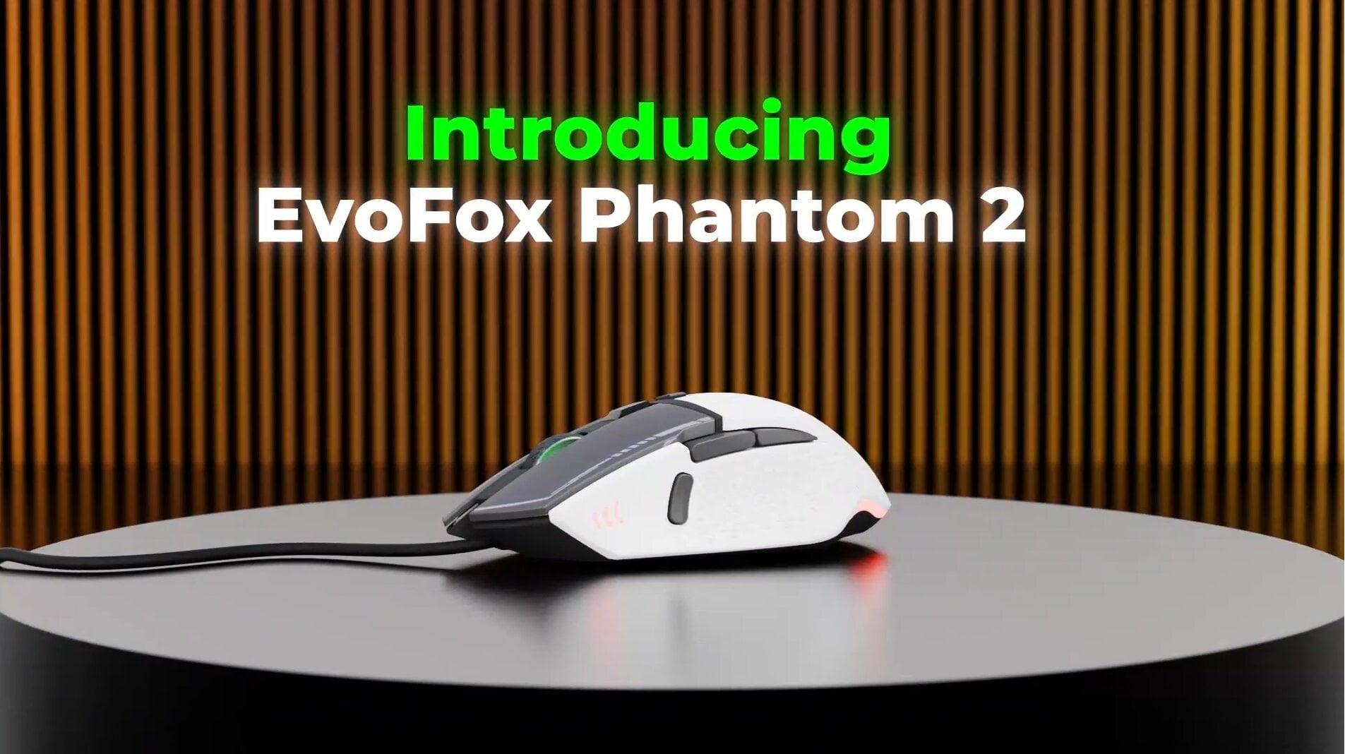EvoFox Phantom 2 Programmable Gaming Mouse (Black) Price - Buy Online ...